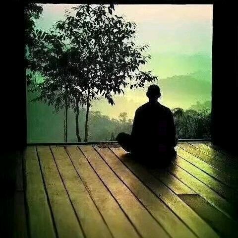 东哥的小院