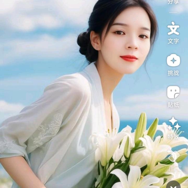 菲帆
