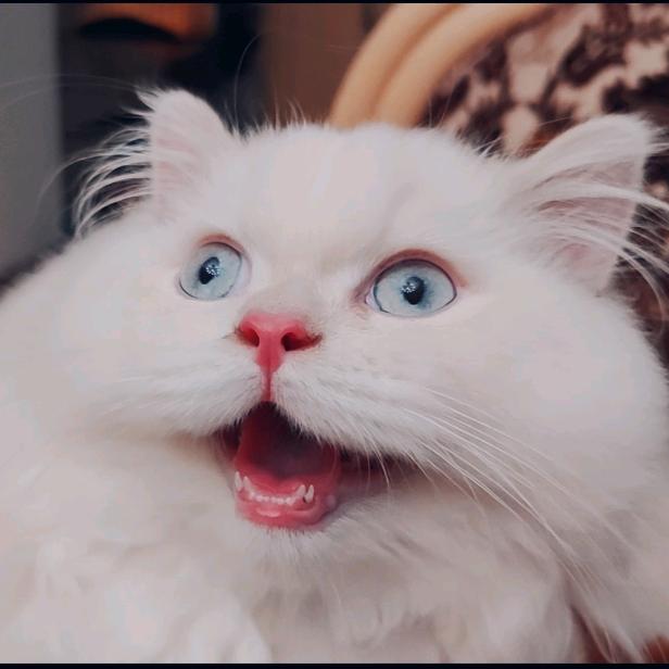 咕噜噜噜噜噜噜