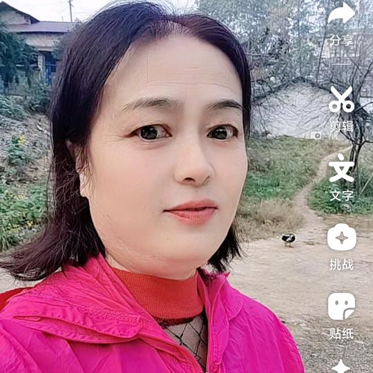 凤莲