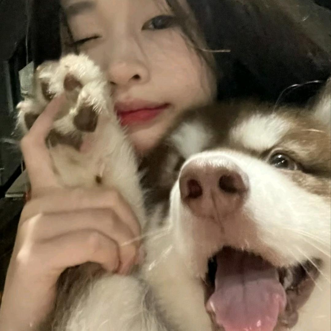 失误ang头像