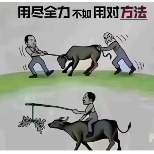 认知才有导向