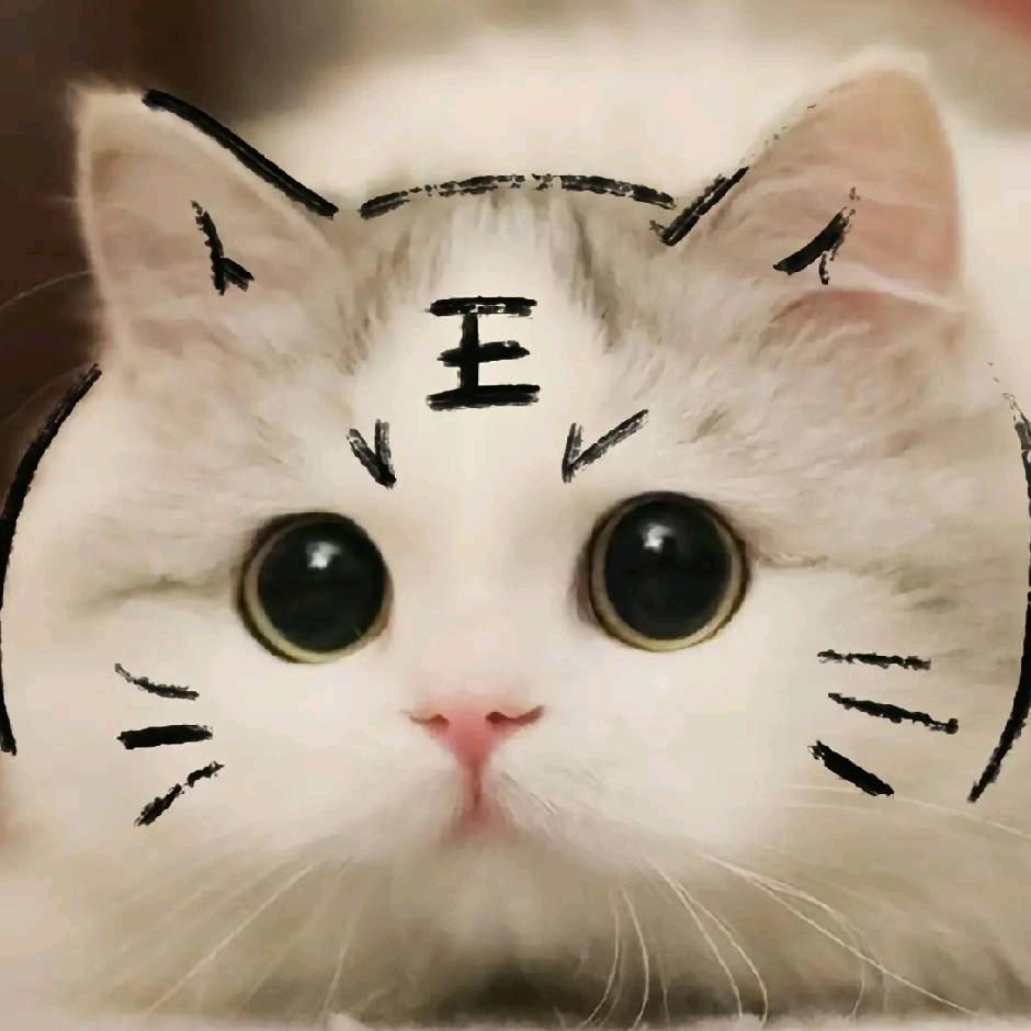 👠波哥