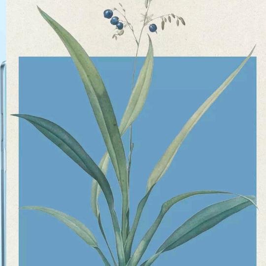 喜欢猫咪的打呼噜声