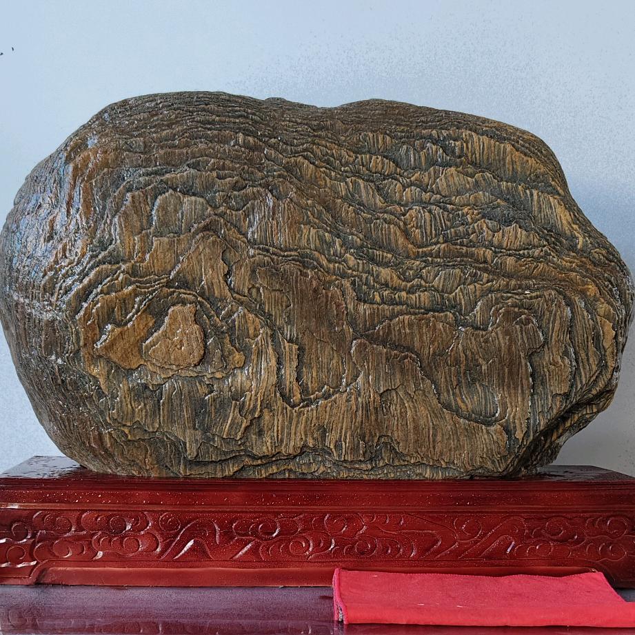 《抖》然的自我