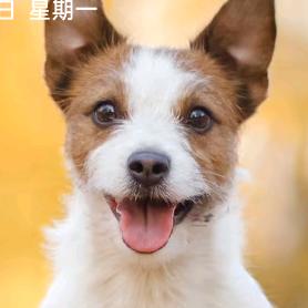 私斋cos鲜葱