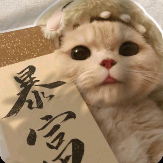 凡尘
