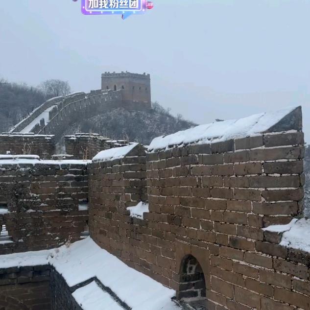 小金歌66666688888888⁵⁰²