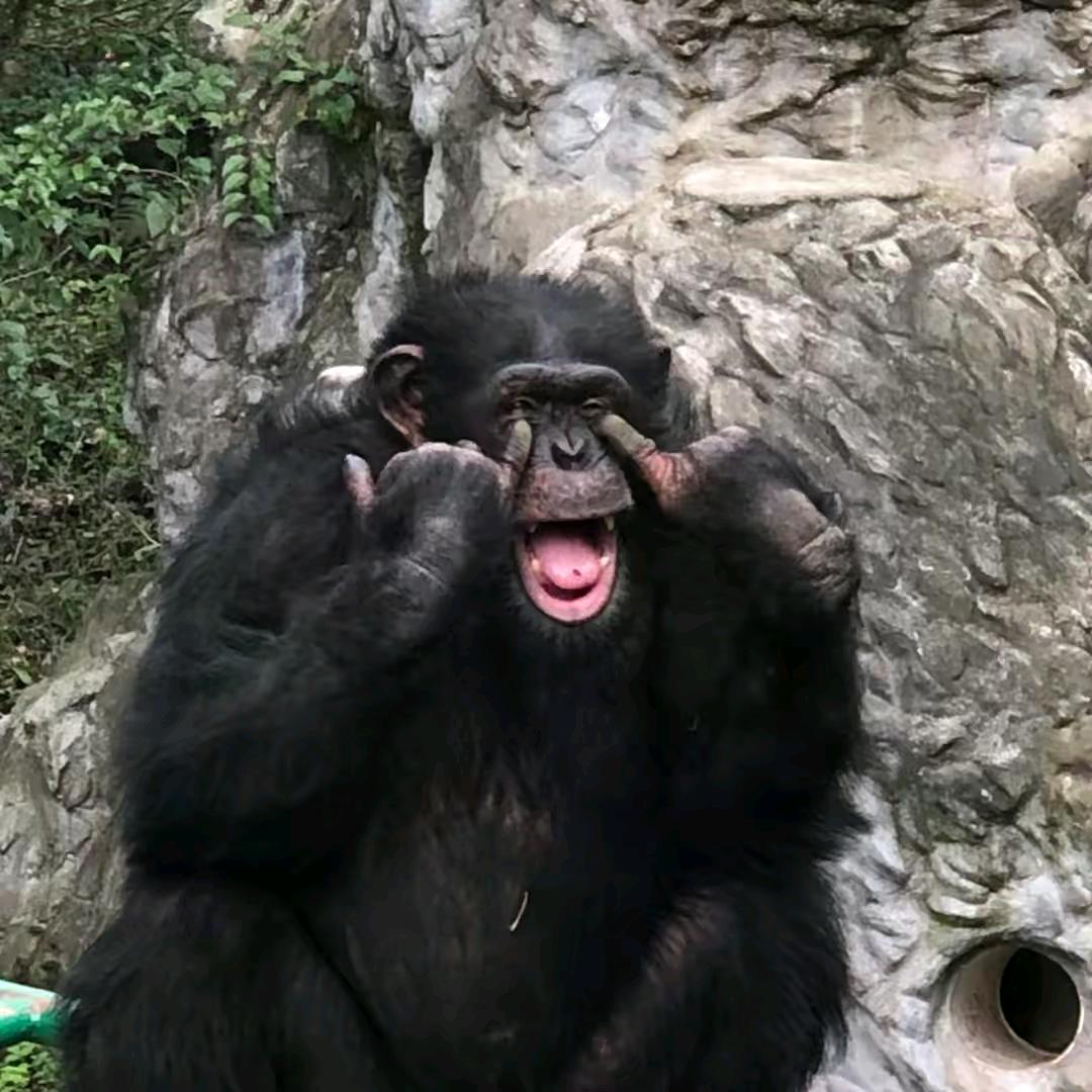 九亿妇女的梦