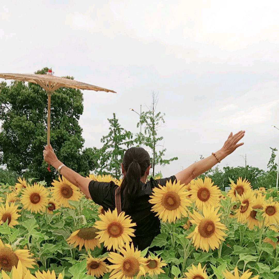 六七年的羊芬芳🐏🌻🍎