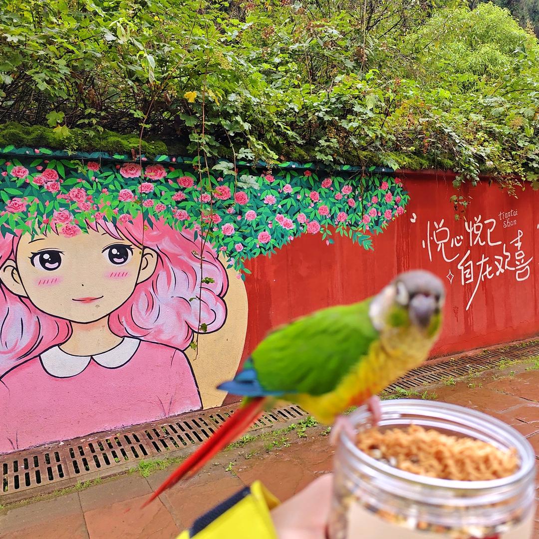 💗淼淼