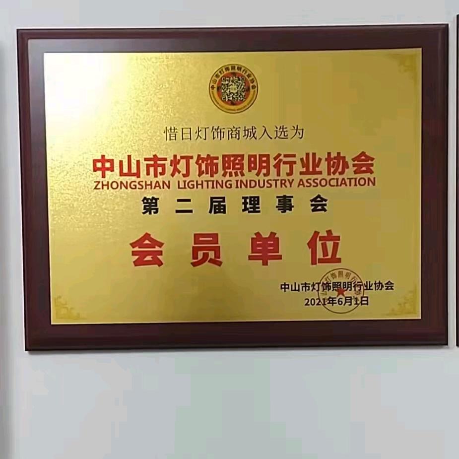 特行智能灯饰