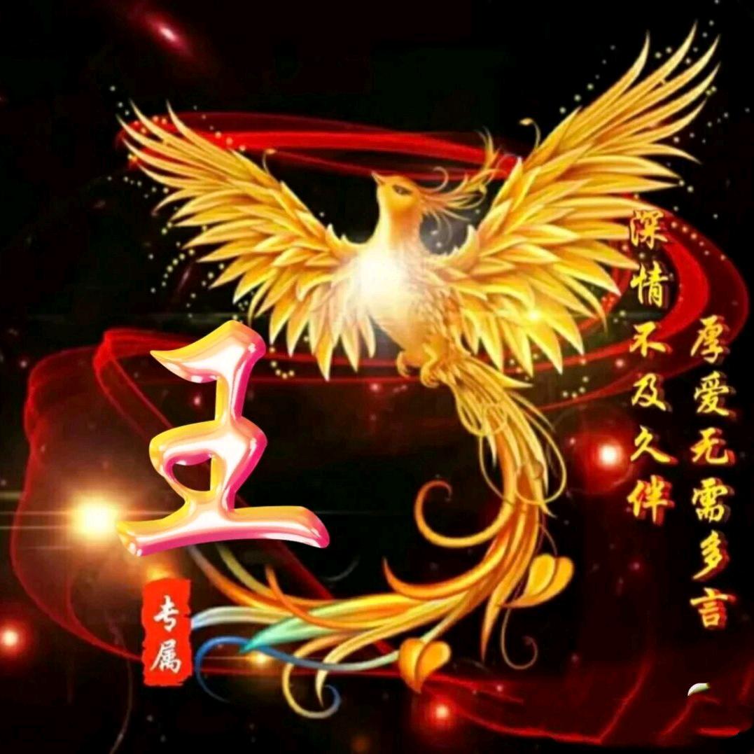马店月姐