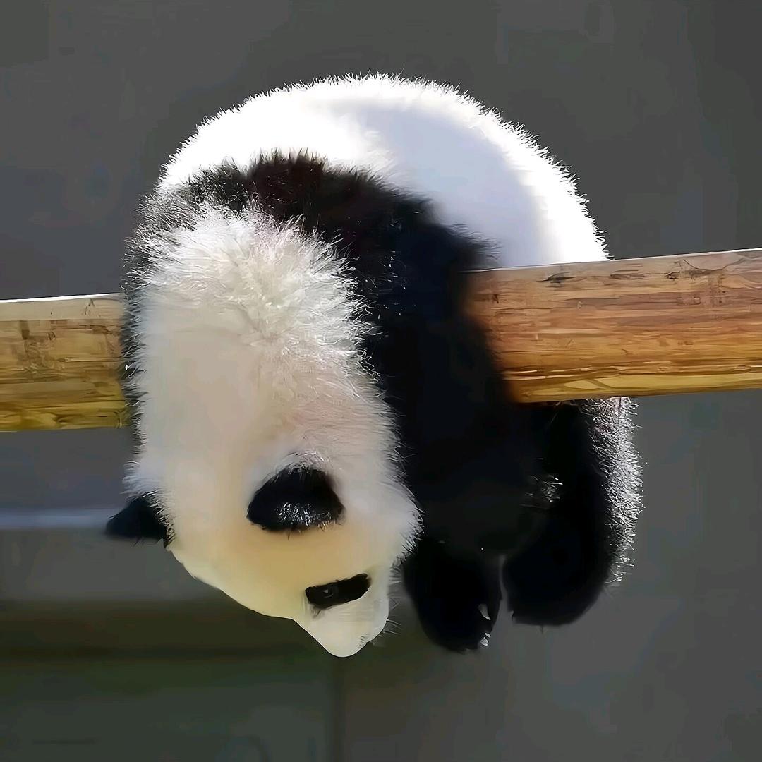 阿秋