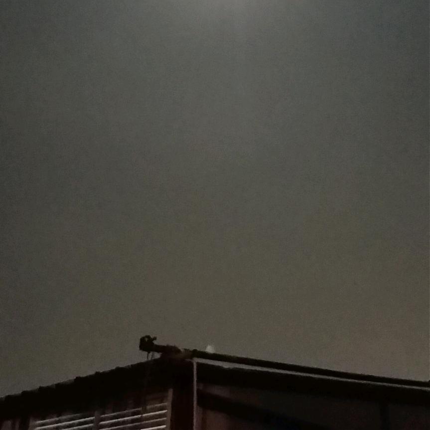 永爱无悔
