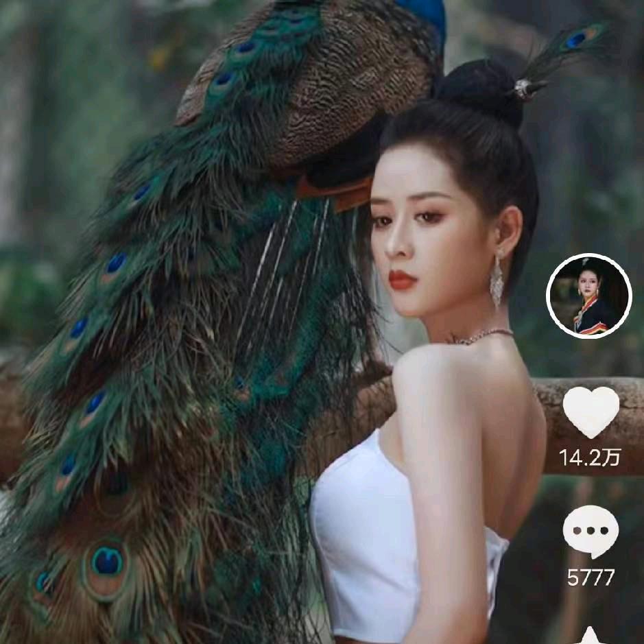 糖 豆 芽