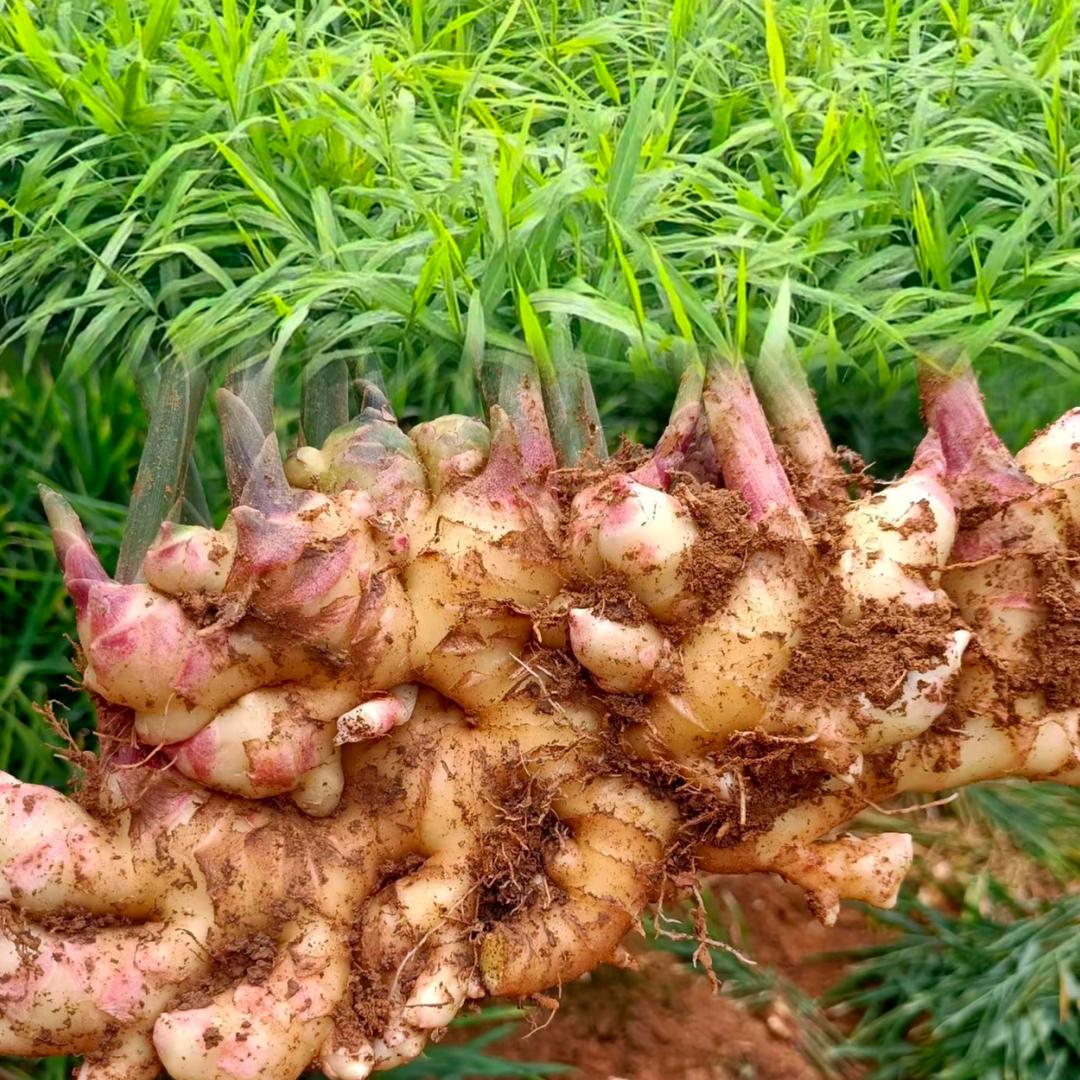 太溪邦 产品分享员