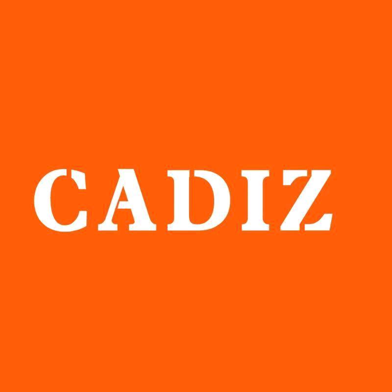 CADIZ影音旗舰店授权号