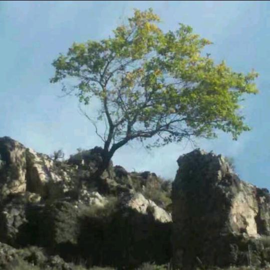 一念之间