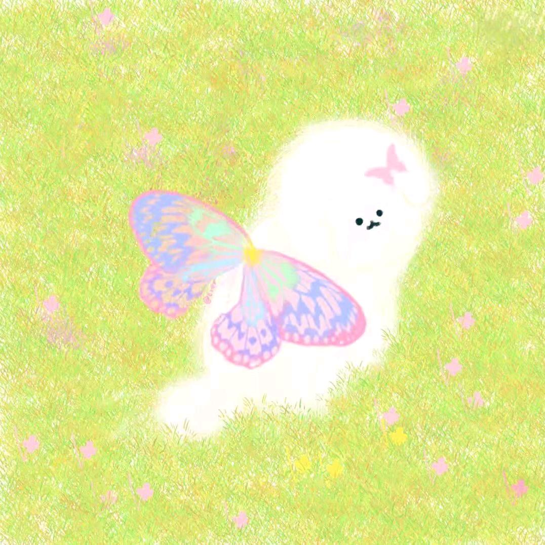 女高一号