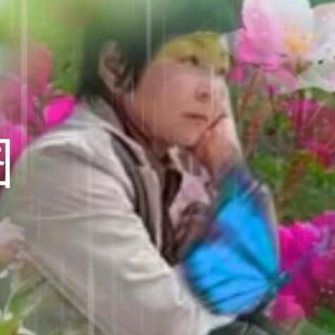 静心姐