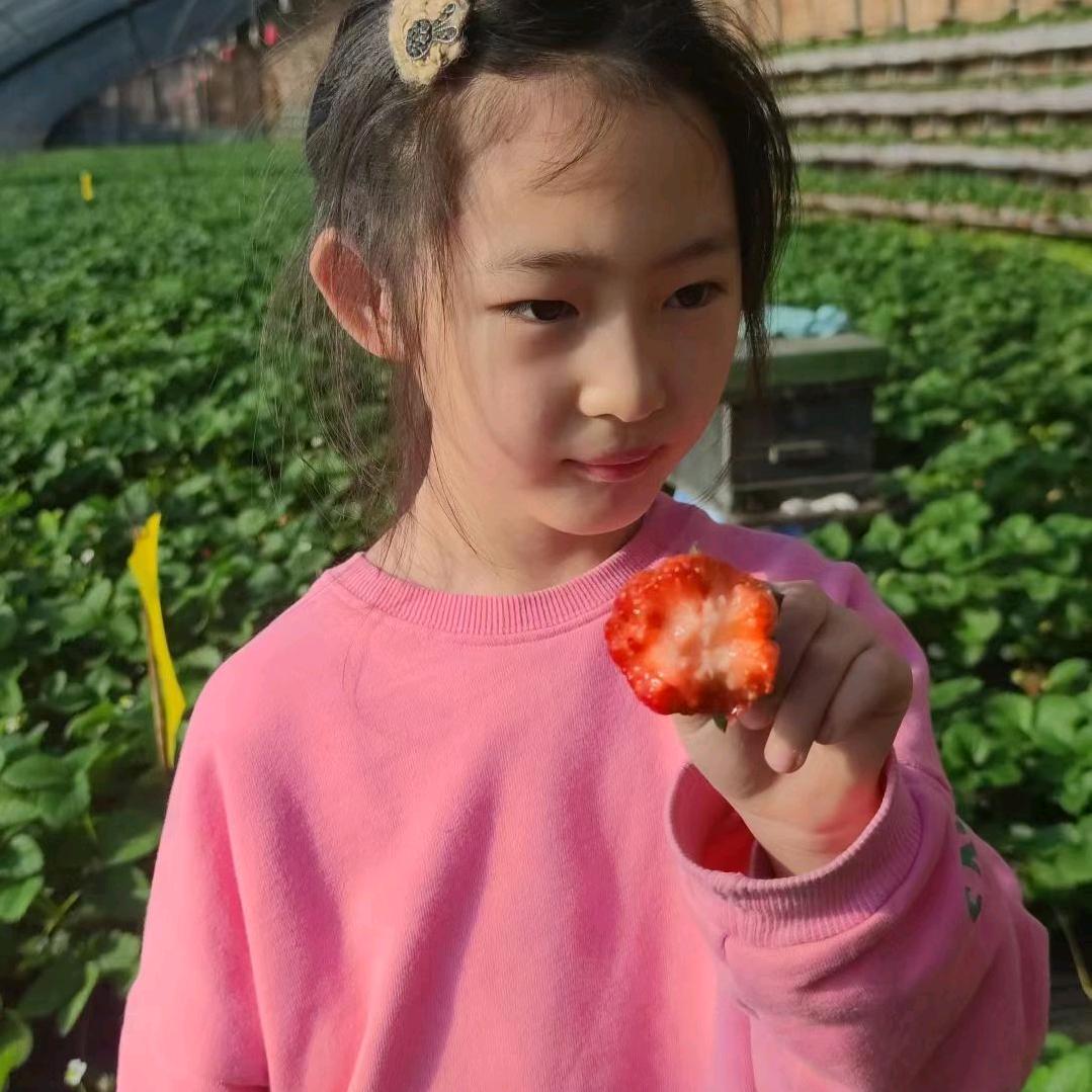 营口南楼经济开发区东鹏家庭农场