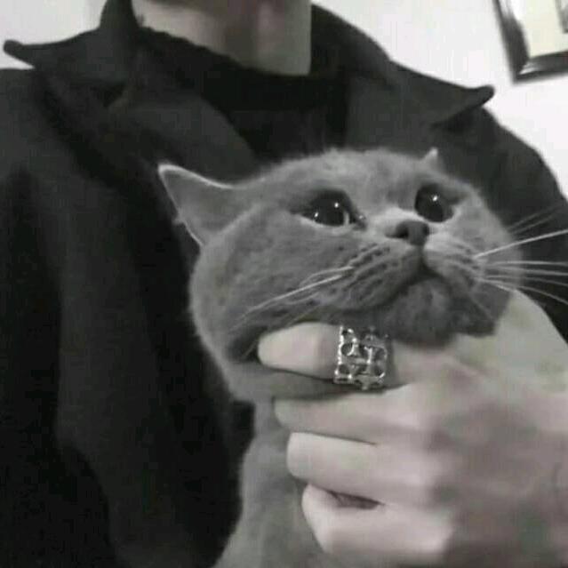 78