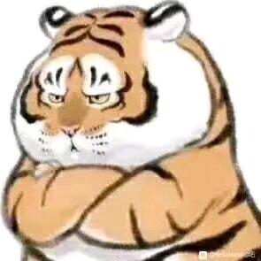 晨晨头像