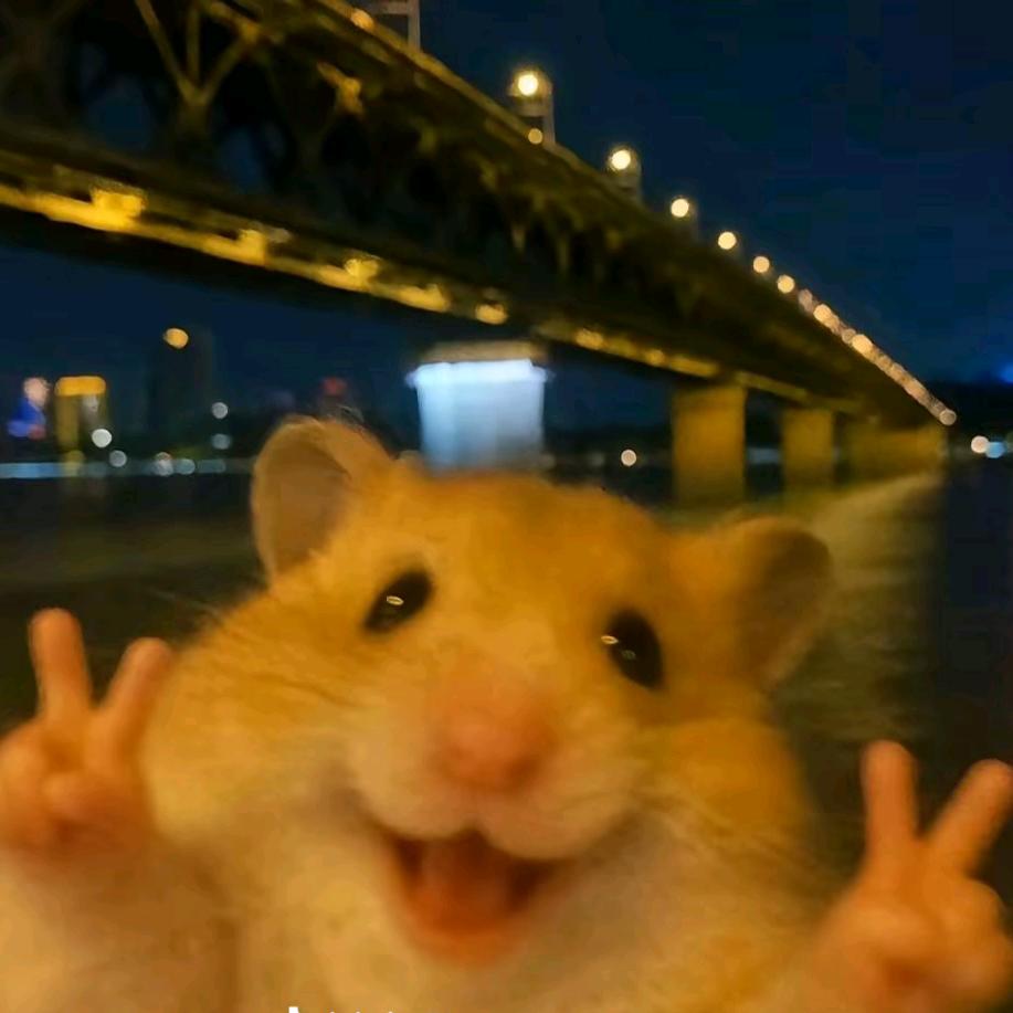 风景线