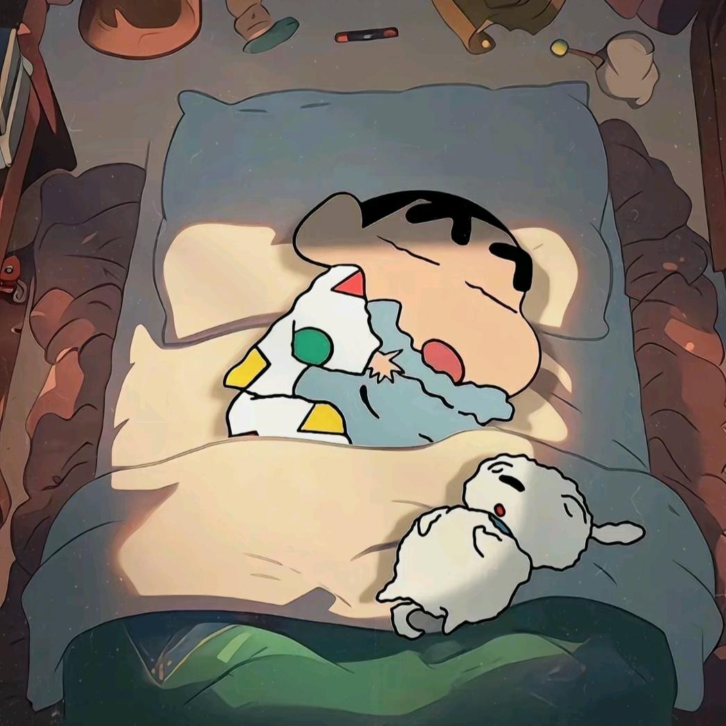 懒已睡😴