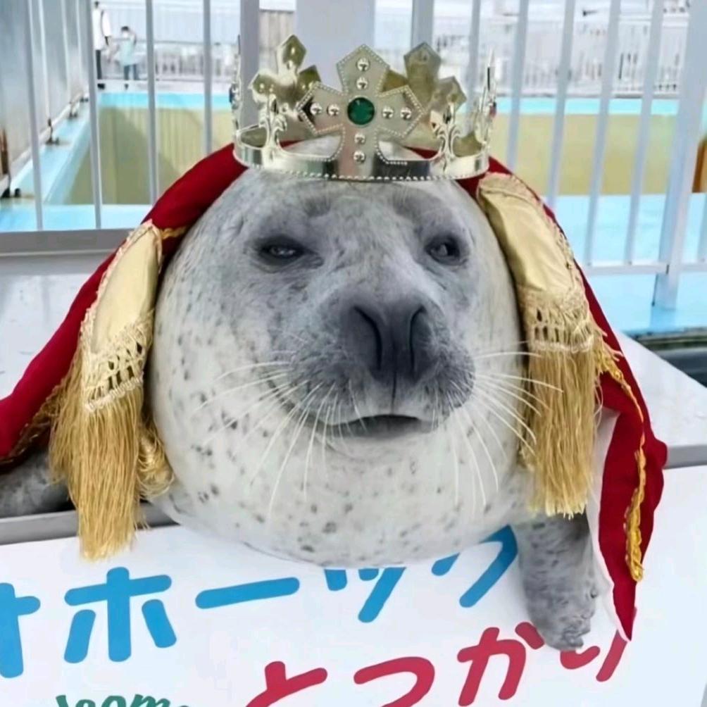 fly_seal2