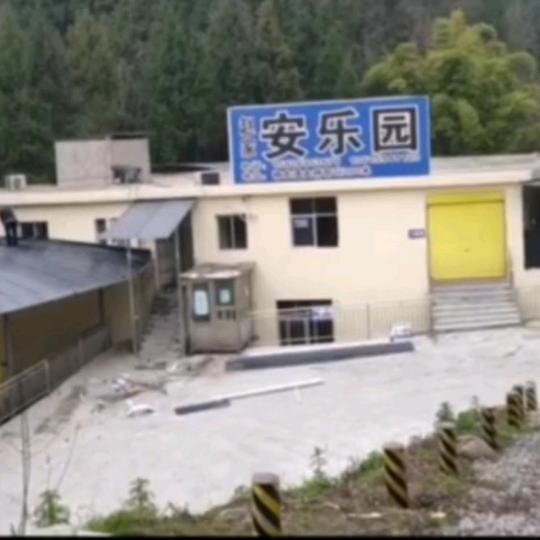 赵家安乐园叶子