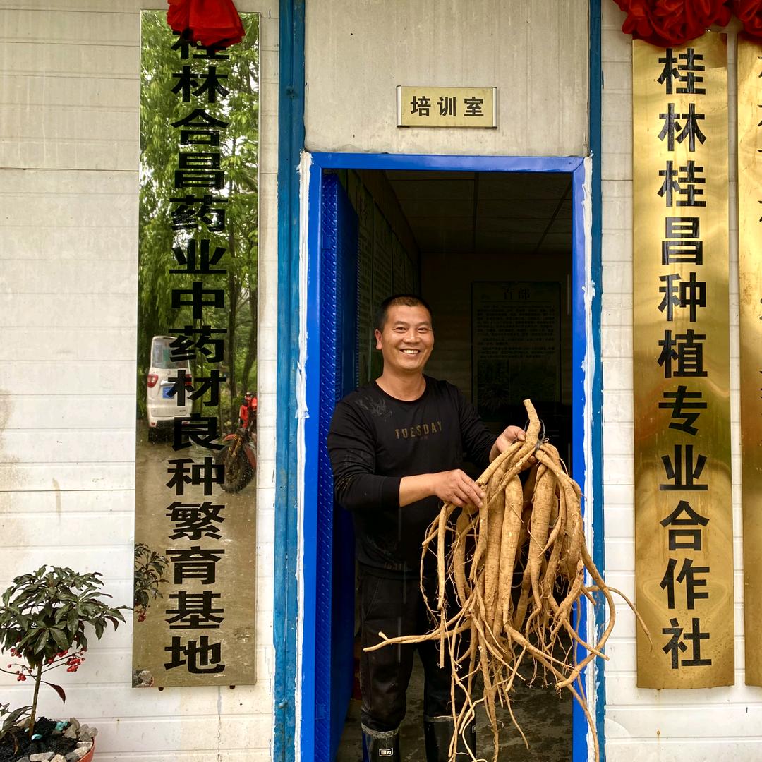 桂昌农业中药材苗基地|李国斌