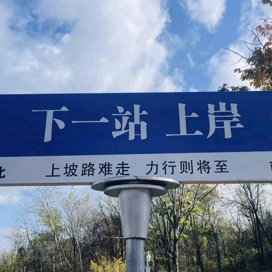 必将上岸