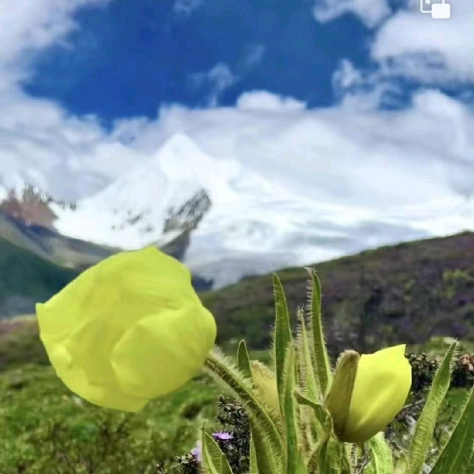 ℋ𝒶𝒷𝒾𝓉♡ۣ💐