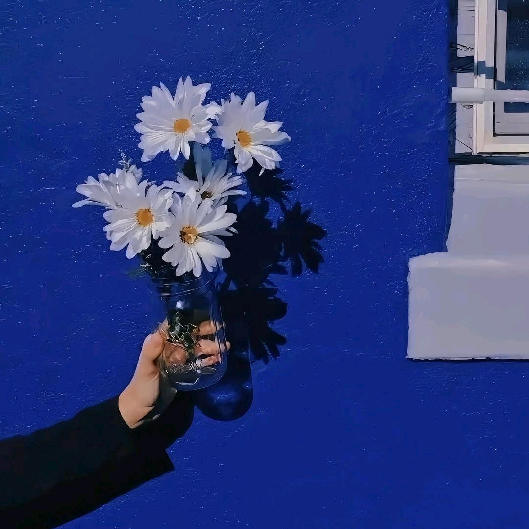 辰月