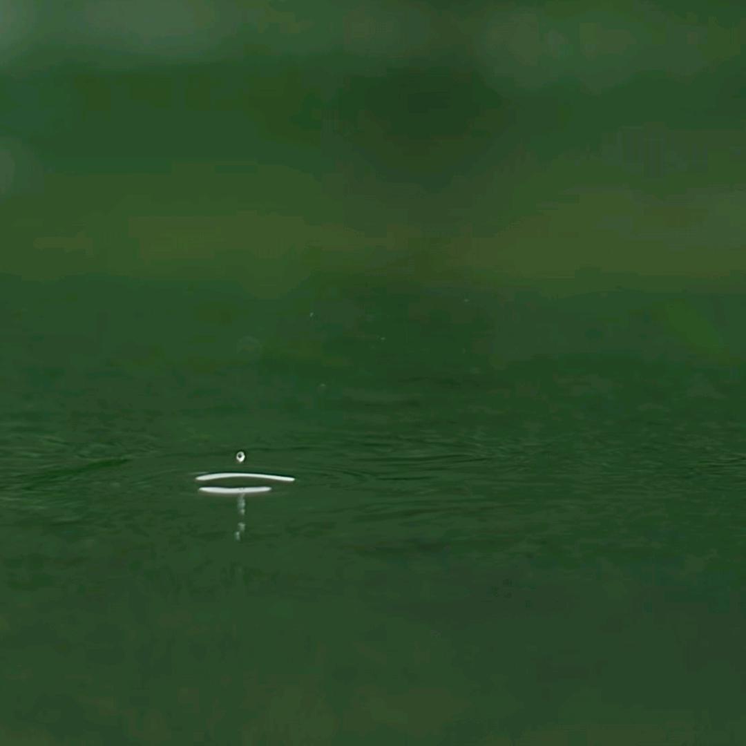 浅喜