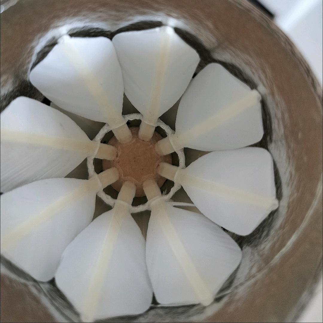 学不会