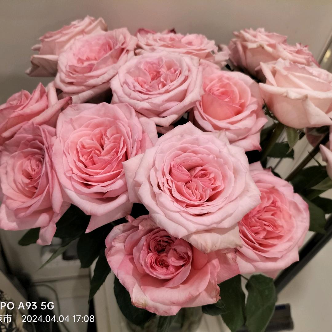 跃莱亚健康调理，透皮蒸疗