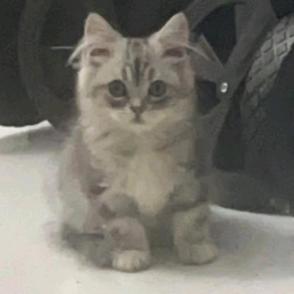 那些谨小慎微的梦