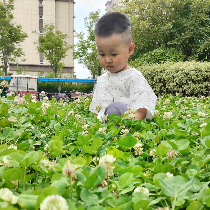 毛丞妈妈