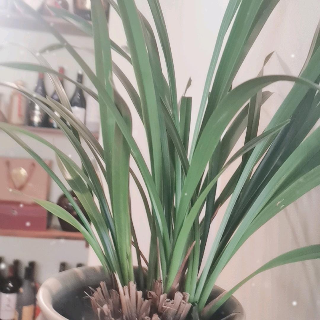 努力奋斗。🌹🌹🌹🍓🍓