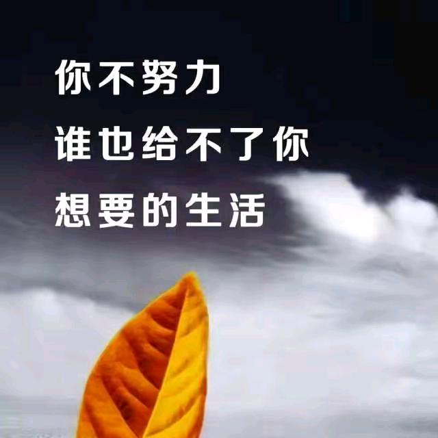 农村户口