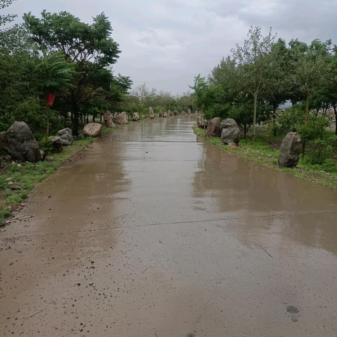 雪儿快乐直播间