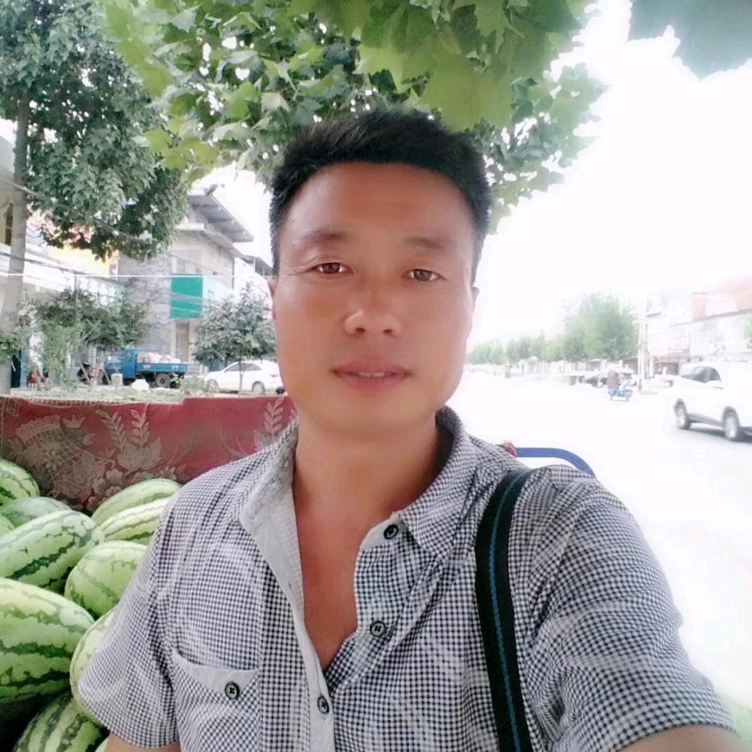 等待的玫瑰,停靠的心