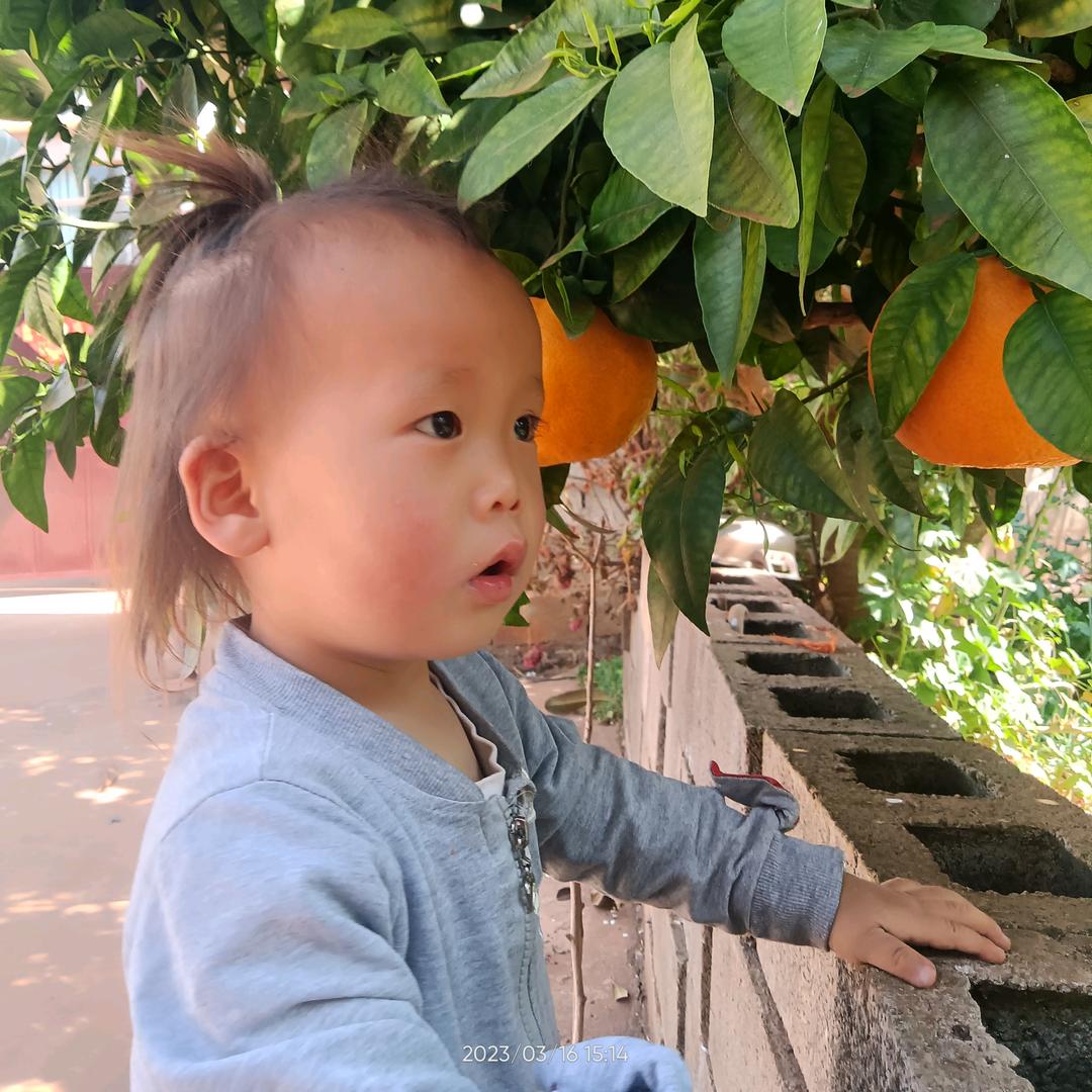 彝家妹