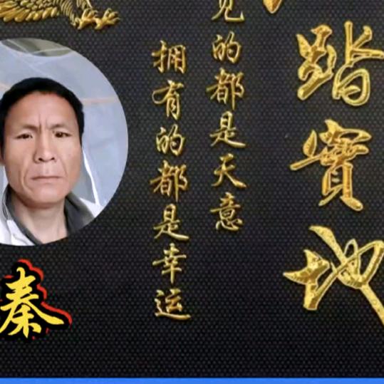 \Mr. Qin from Fuyang