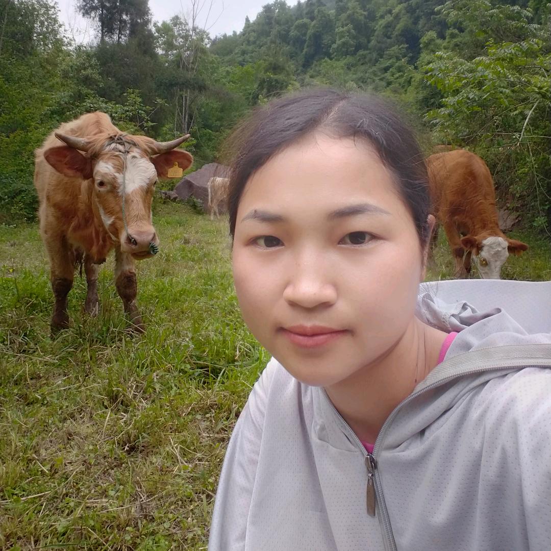 巴山放牛人