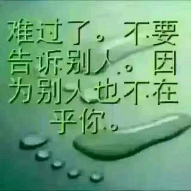 网情真意