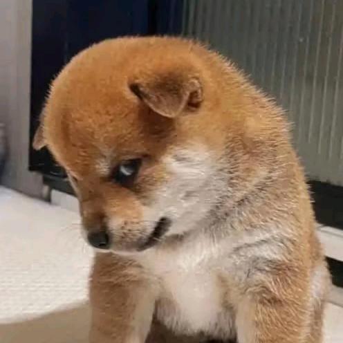 佛💕渡💕🈶缘人